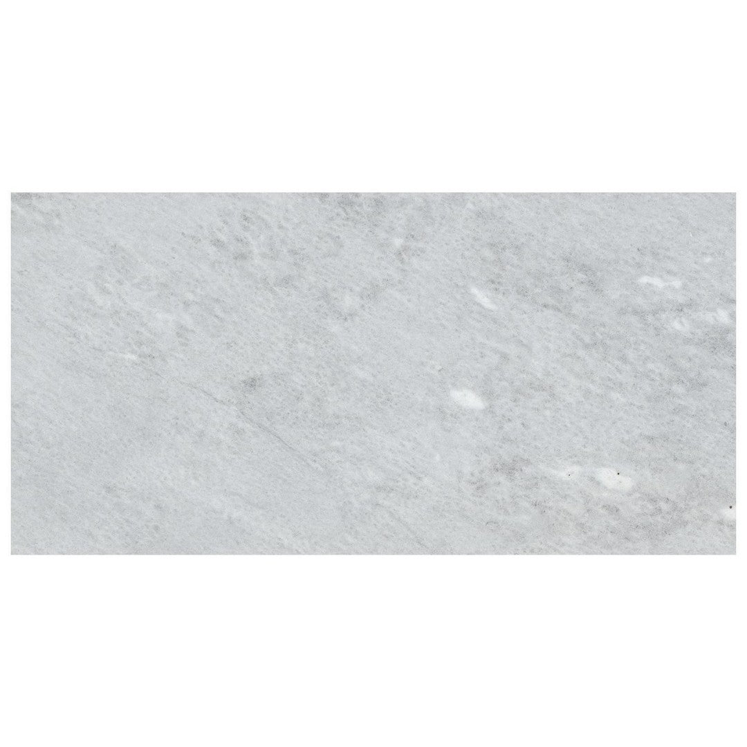 Anatolia Natural Stone 12" x 24" Honed Marble Tile