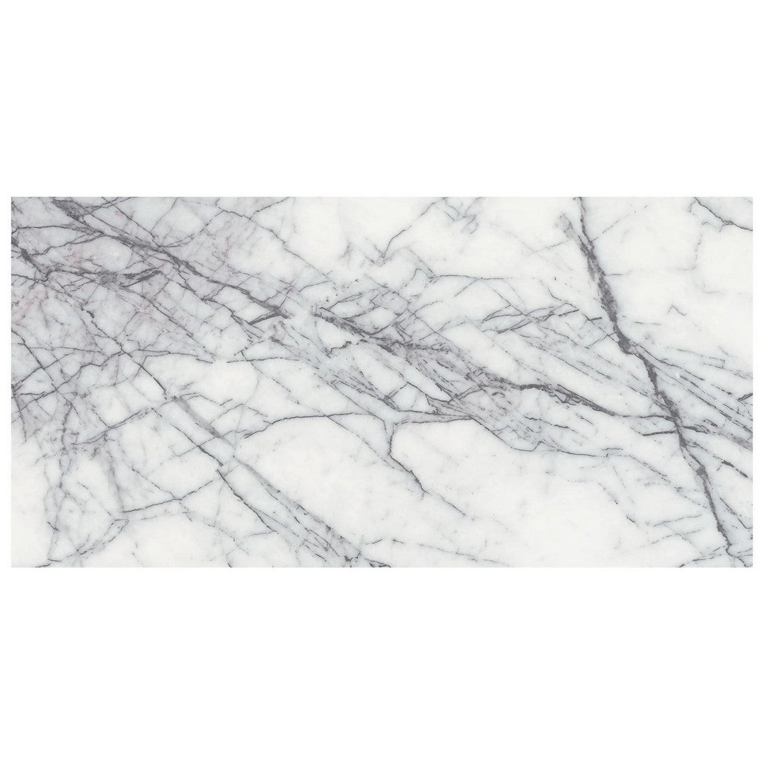 Anatolia Natural Stone 12" x 24" Honed Marble Tile