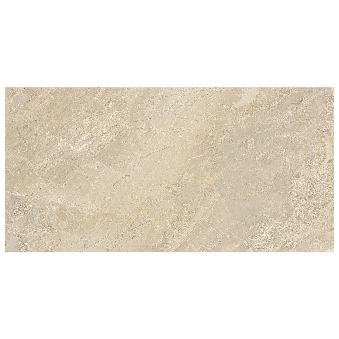 Anatolia Natural Stone 12" x 24" Honed Marble Tile
