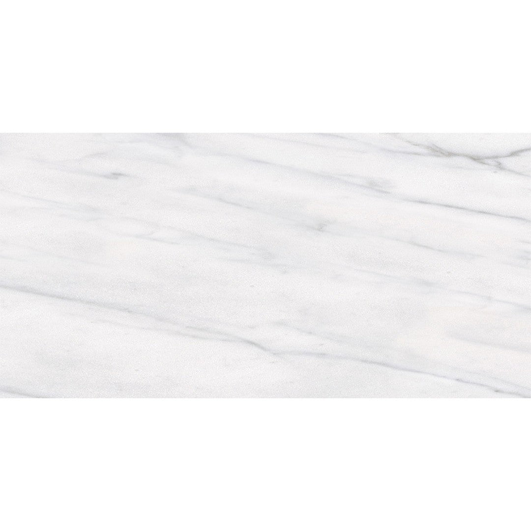 Tesoro Classic 12" x 24" Pressed Matte Porcelain Tile