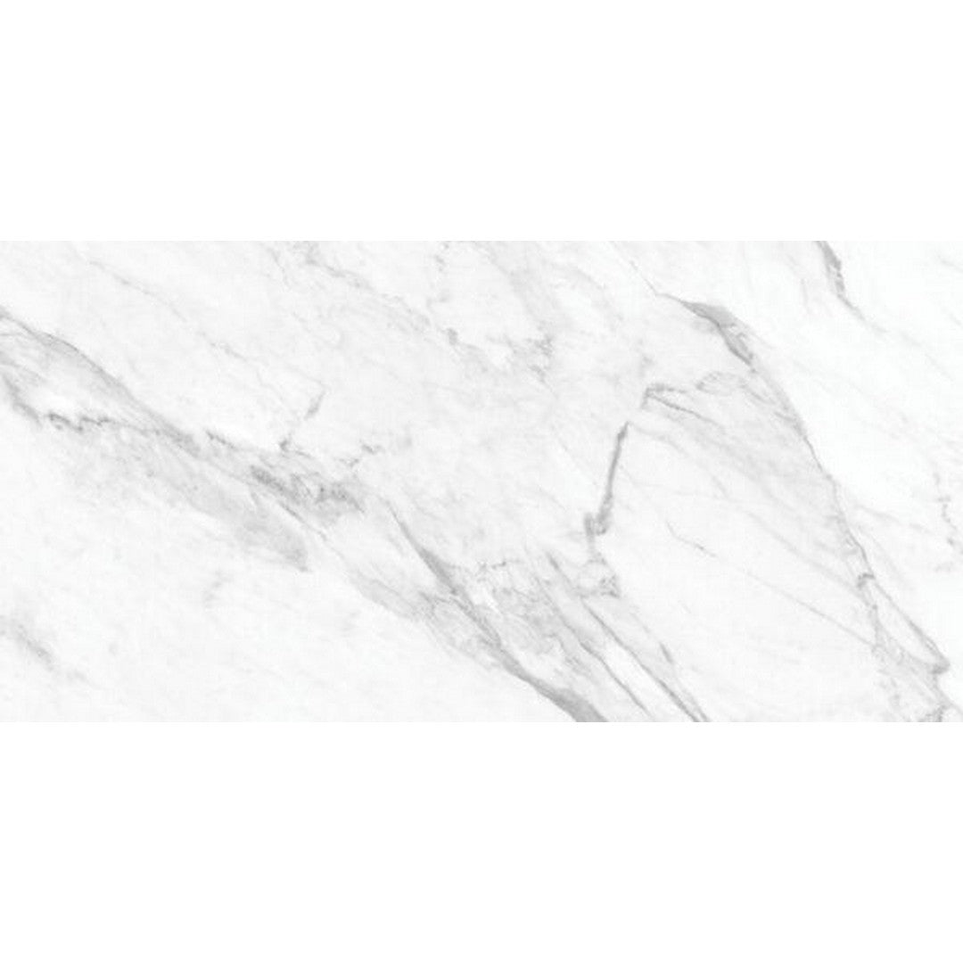 Tesoro La Marca 24" x 48" Rectified Polished Porcelain Tile