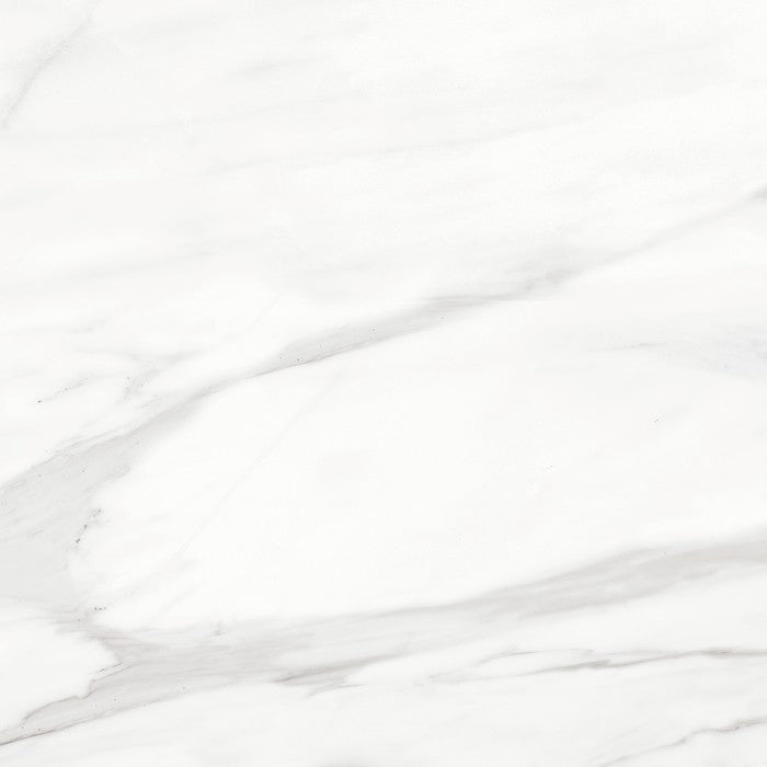 Tesoro Mayfair 24" x 24" Rectified Polished Porcelain Tile