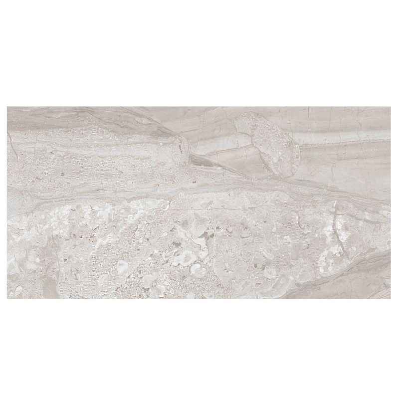 Anthology Marbleridge Reserve 12" x 24" Polished Rectangular Polished Tile