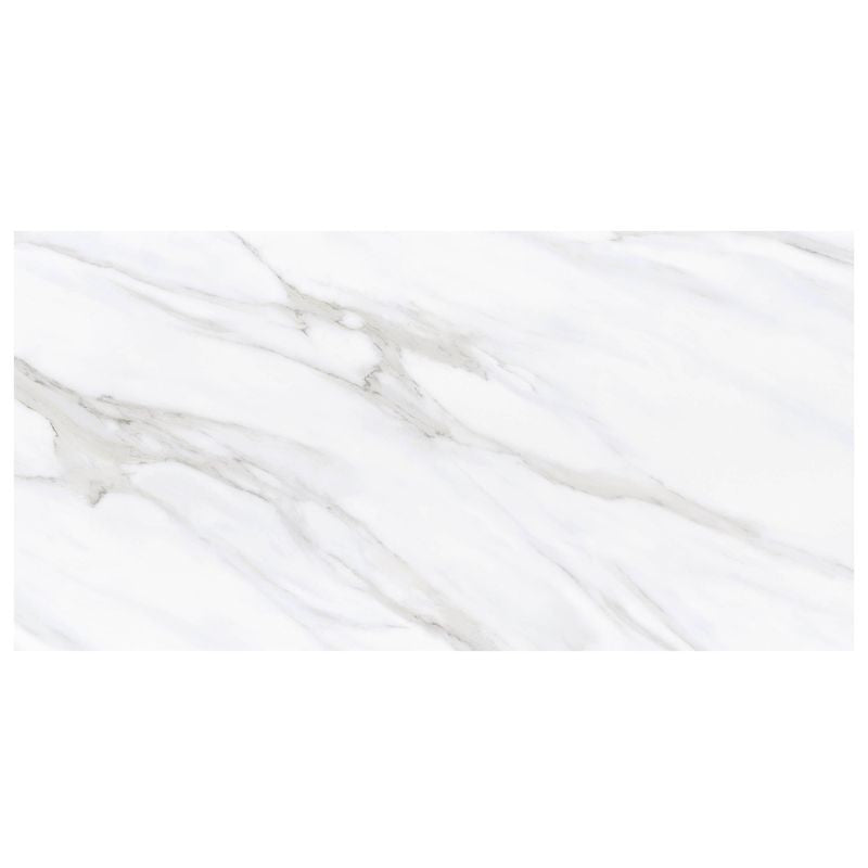 Anthology Marbleridge Reserve 24" x 48" Matte Rectangular Matte Tile