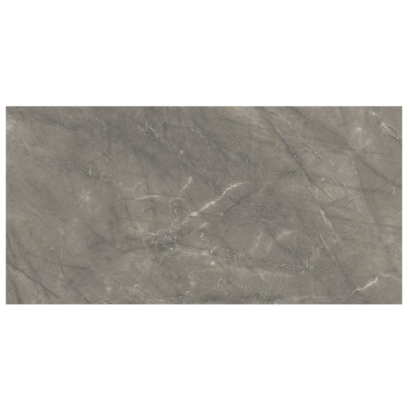 Anthology Marbleridge Reserve 12" x 24" Polished Rectangular Polished Tile