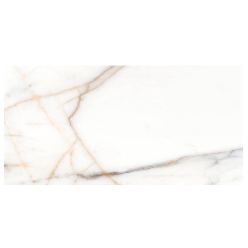 Anthology Marbleridge Reserve 12" x 24" Polished Rectangular Polished Tile