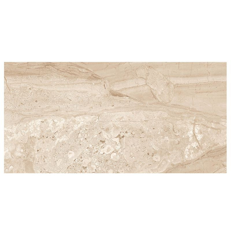 Anthology Marbleridge Reserve 12" x 24" Polished Rectangular Polished Tile