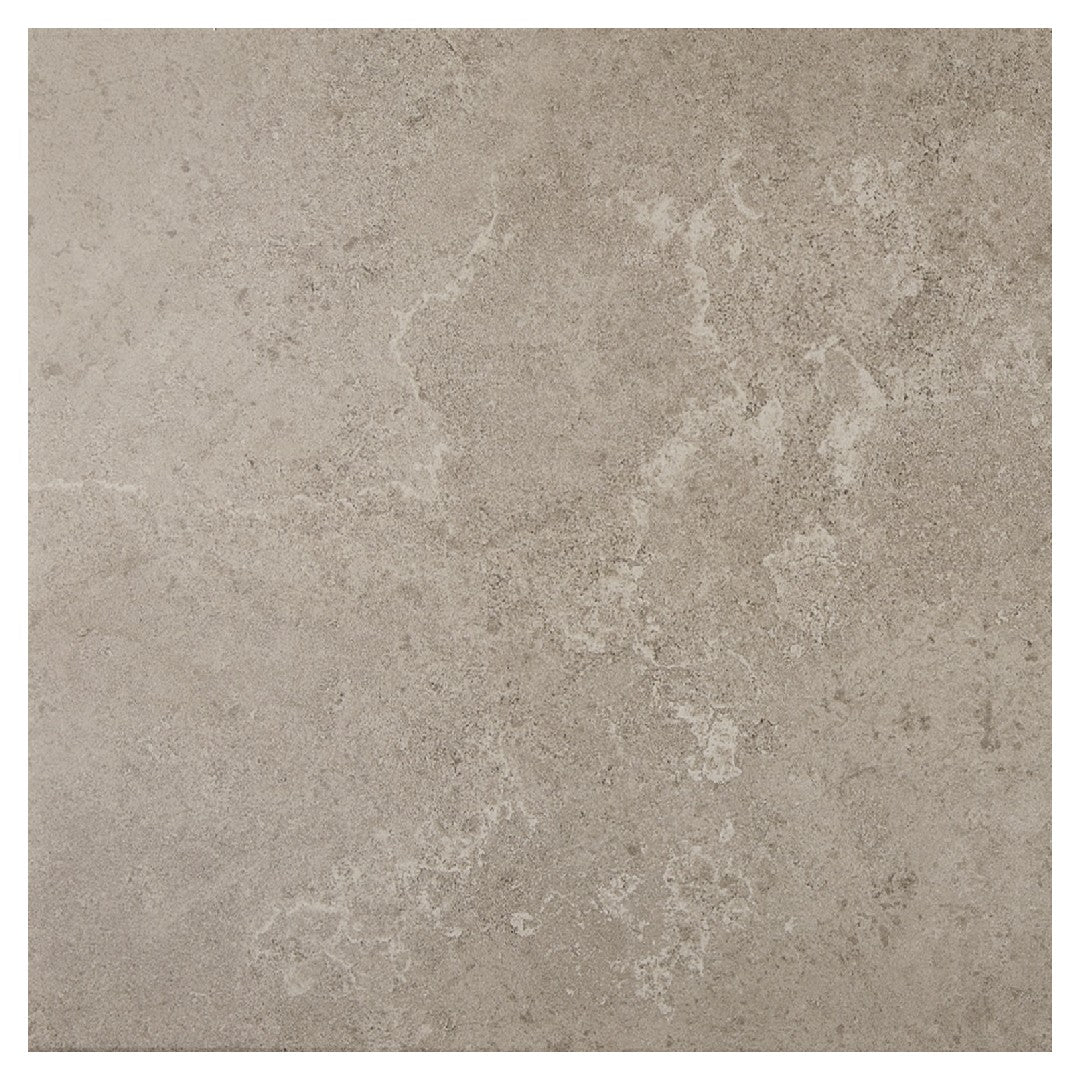 Daltile Advantage 18x18 Ceramic Matte Tile for Floor & Wall