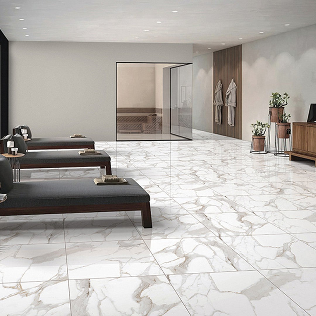 MiR-Arya-24-x-24-Rectified-Porcelain-Tile-Polished-Staturaio-Platina