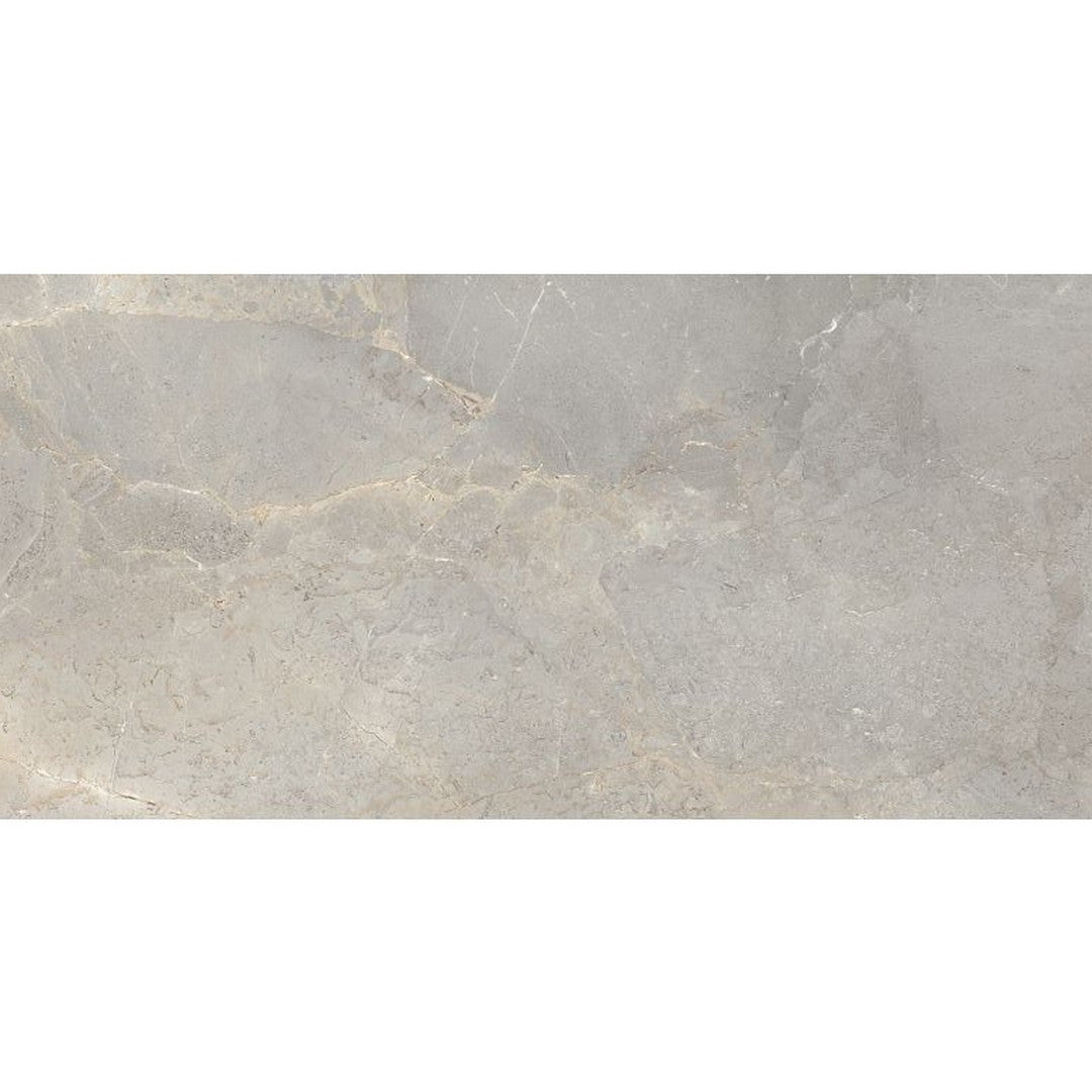 Arizona Anthea Series 24" x 48" Matte Rectified Porcelain Tile