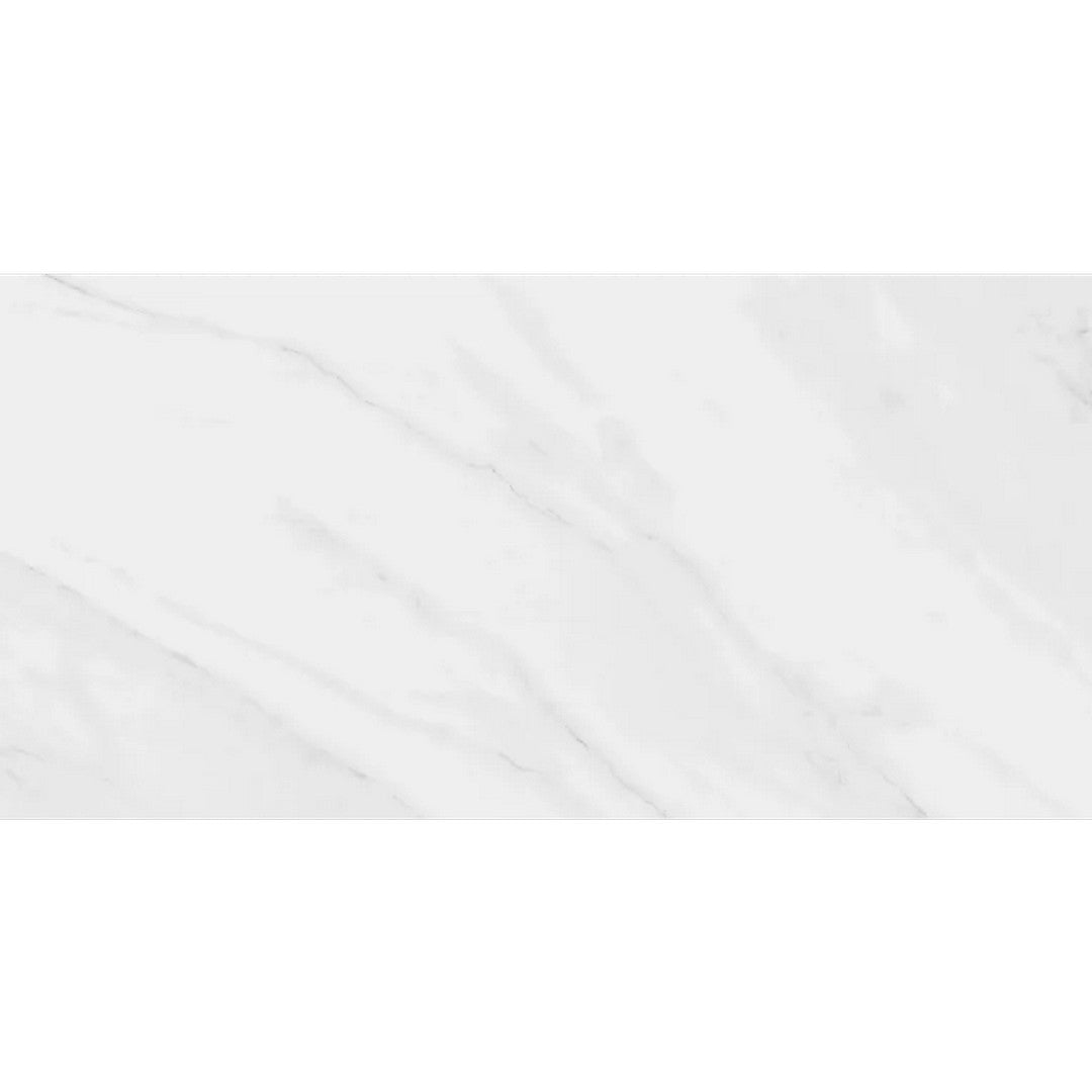 Arizona Cala 12" x 24" Polished Rectified Porcelain Tile