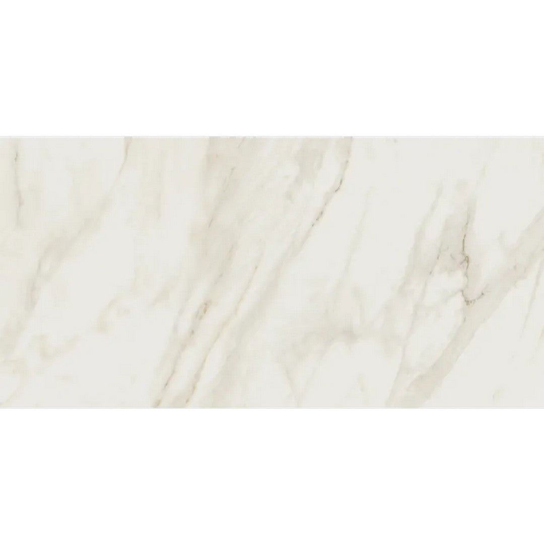 Arizona Cala 12" x 24" Polished Rectified Porcelain Tile