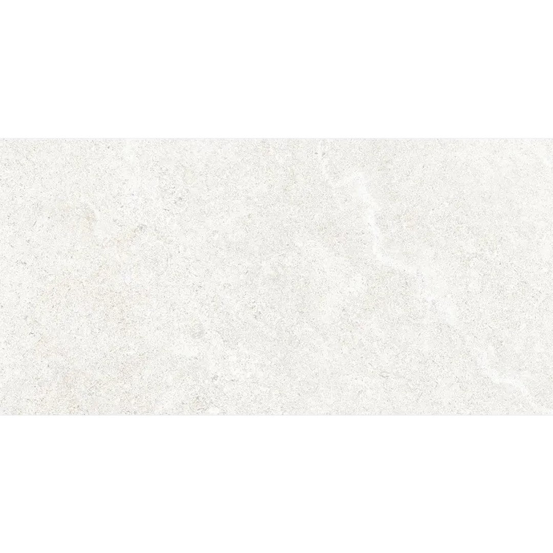 Arizona Futura 12" x 24" Rectified Porcelain Tile