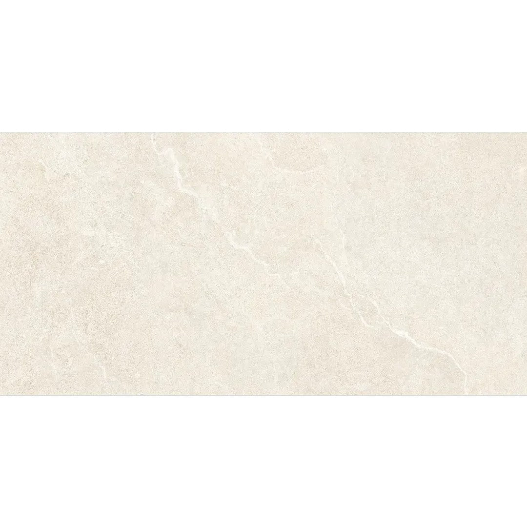 Arizona Futura 24" x 48" Rectified Porcelain Tile