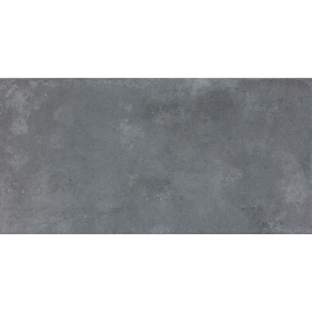 Arizona Icon 24" x 48" Matte Porcelain Tile 9mm