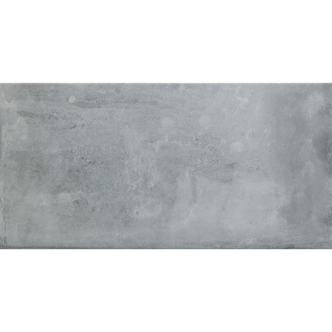 Arizona Icon 24" x 48" Matte Porcelain Tile 9mm