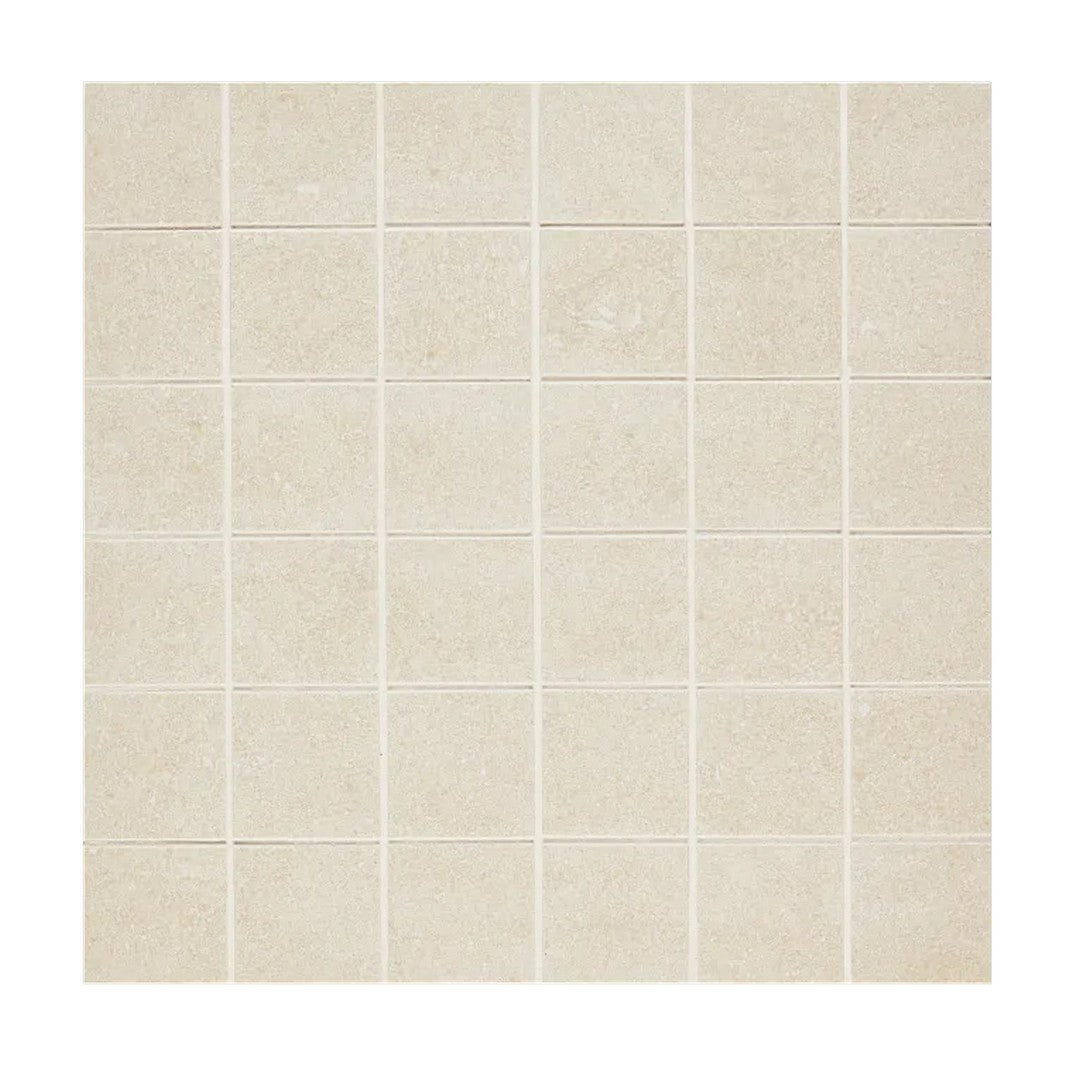 Arizona Intense 12" x 12" Porcelain 2" Mosaic