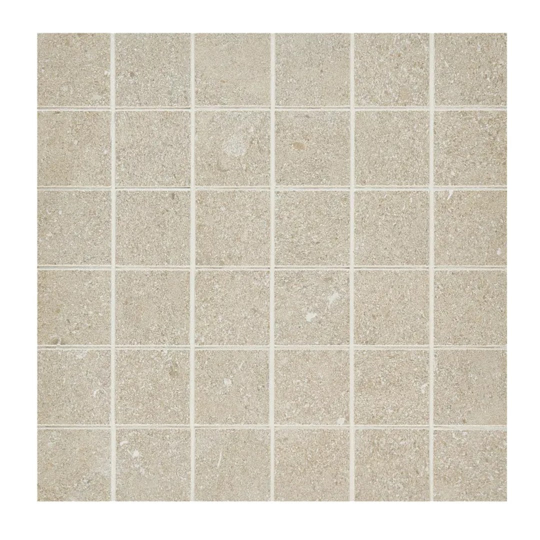 Arizona Intense 12" x 12" Porcelain 2" Mosaic