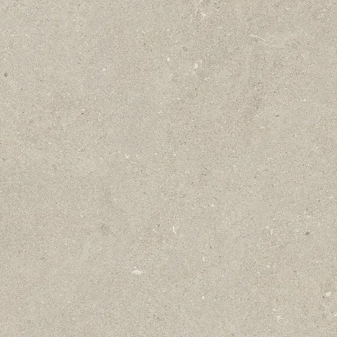 Arizona Intense 24" x 24" Matte Rectified Porcelain Tile