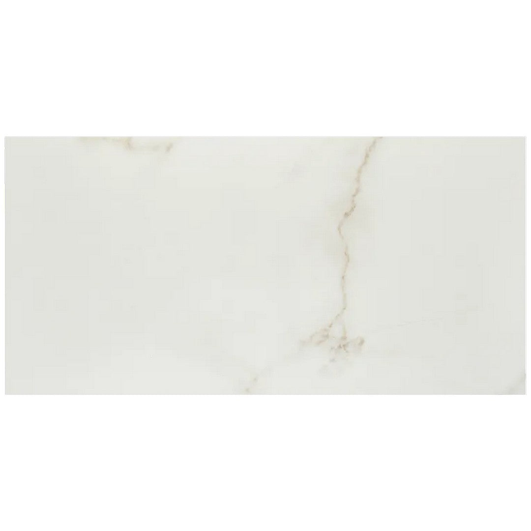 Arizona Marvel 12" x 24" Polished Rectified Porcelain Tile