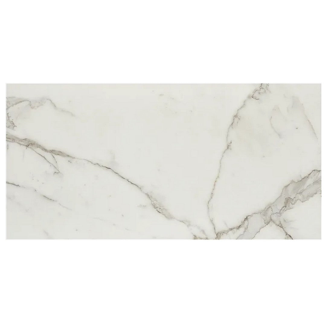 Arizona Marvel 12" x 24" Matte Rectified Porcelain Tile