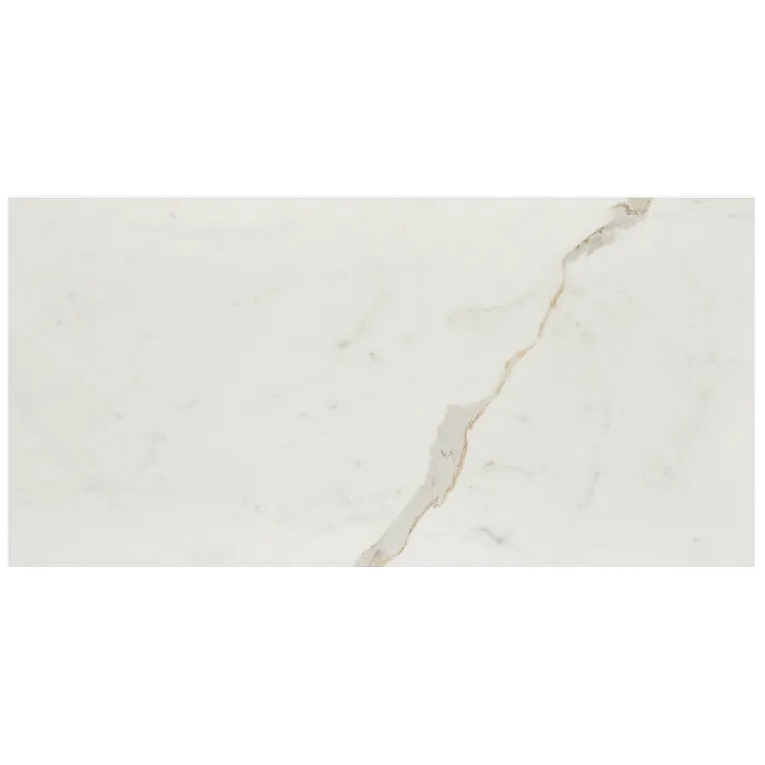 Arizona Marvel 12" x 24" Matte Rectified Porcelain Tile