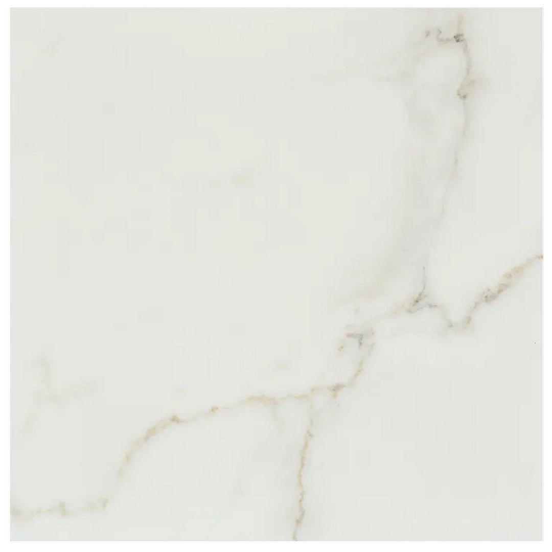 Arizona Marvel 24" x 24" Polished Rectified Porcelain Tile