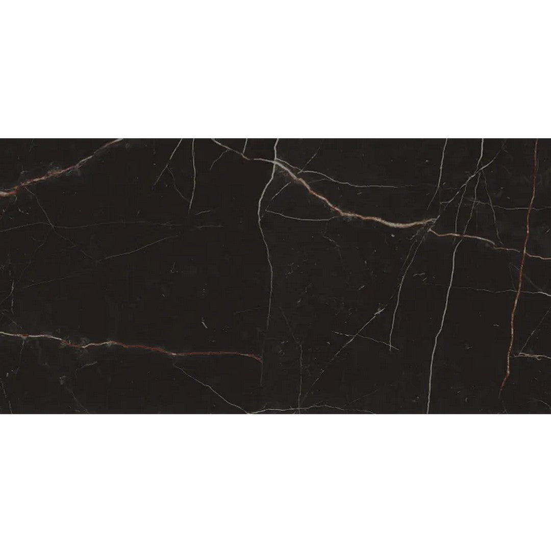 Arizona Marvel 24" x 48" Matte Rectified Porcelain Tile