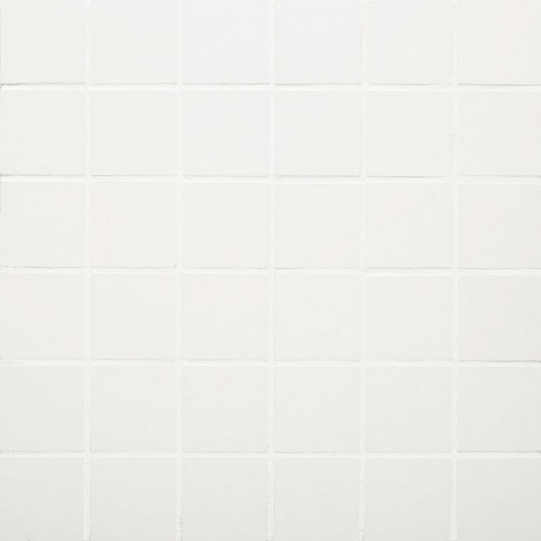 Arizona Paros 12" x 12" Rectified Porcelain 2" Mosaic