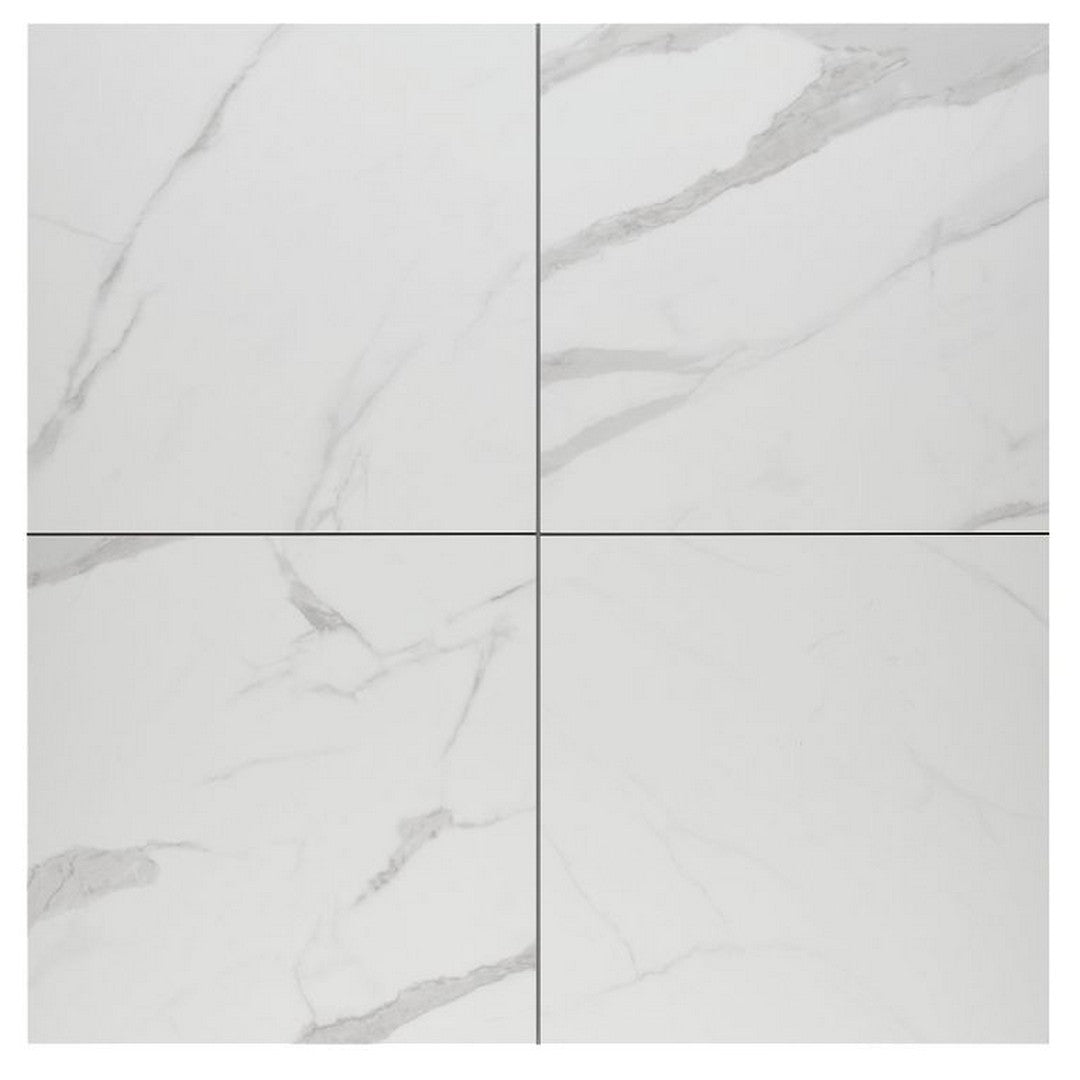 Arizona Themar 24" x 24" Polished Rectified Glazed Porcelain Tile