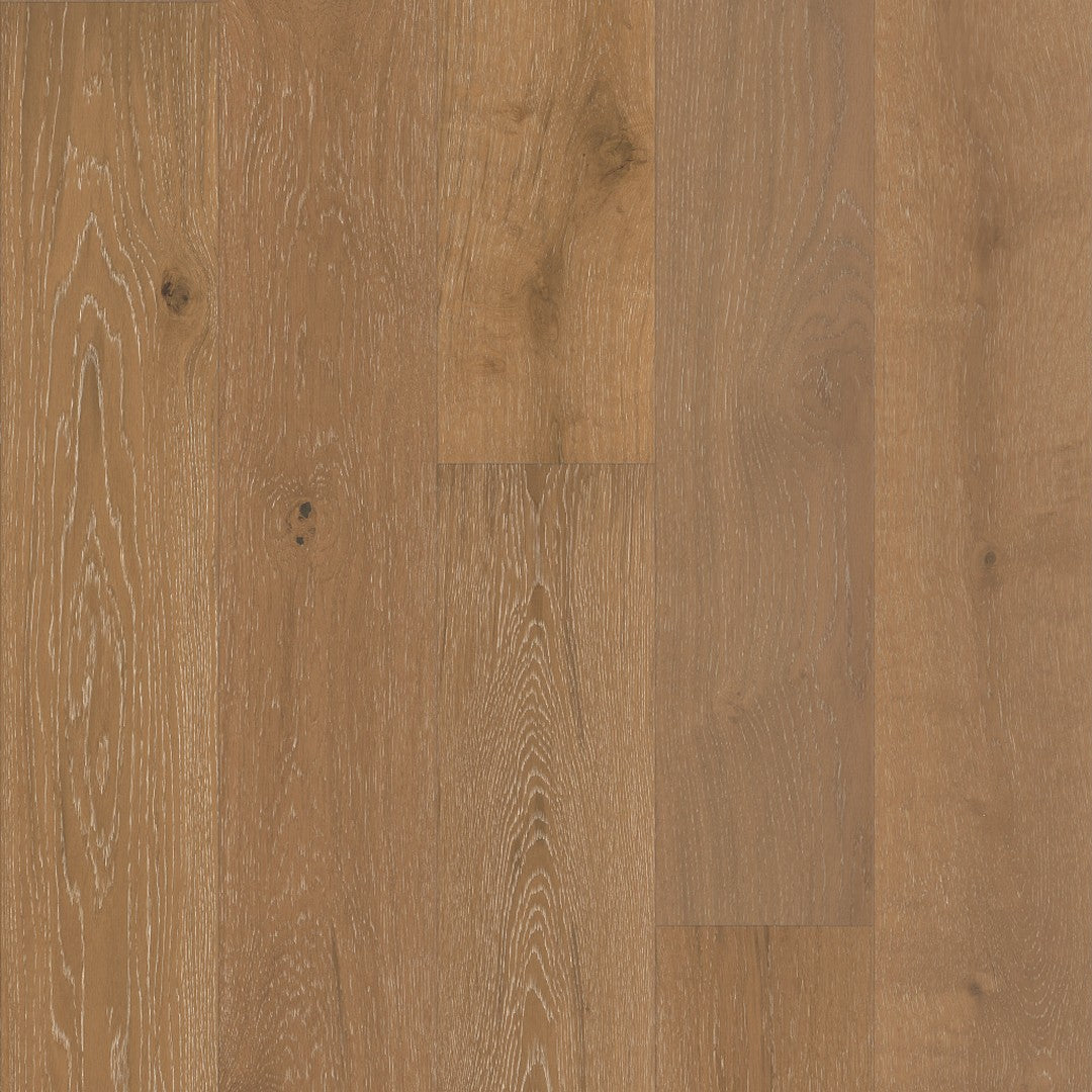 Argonne Forest 7.48 White Oak Engineered Hardwood Plank by Shaw Floors