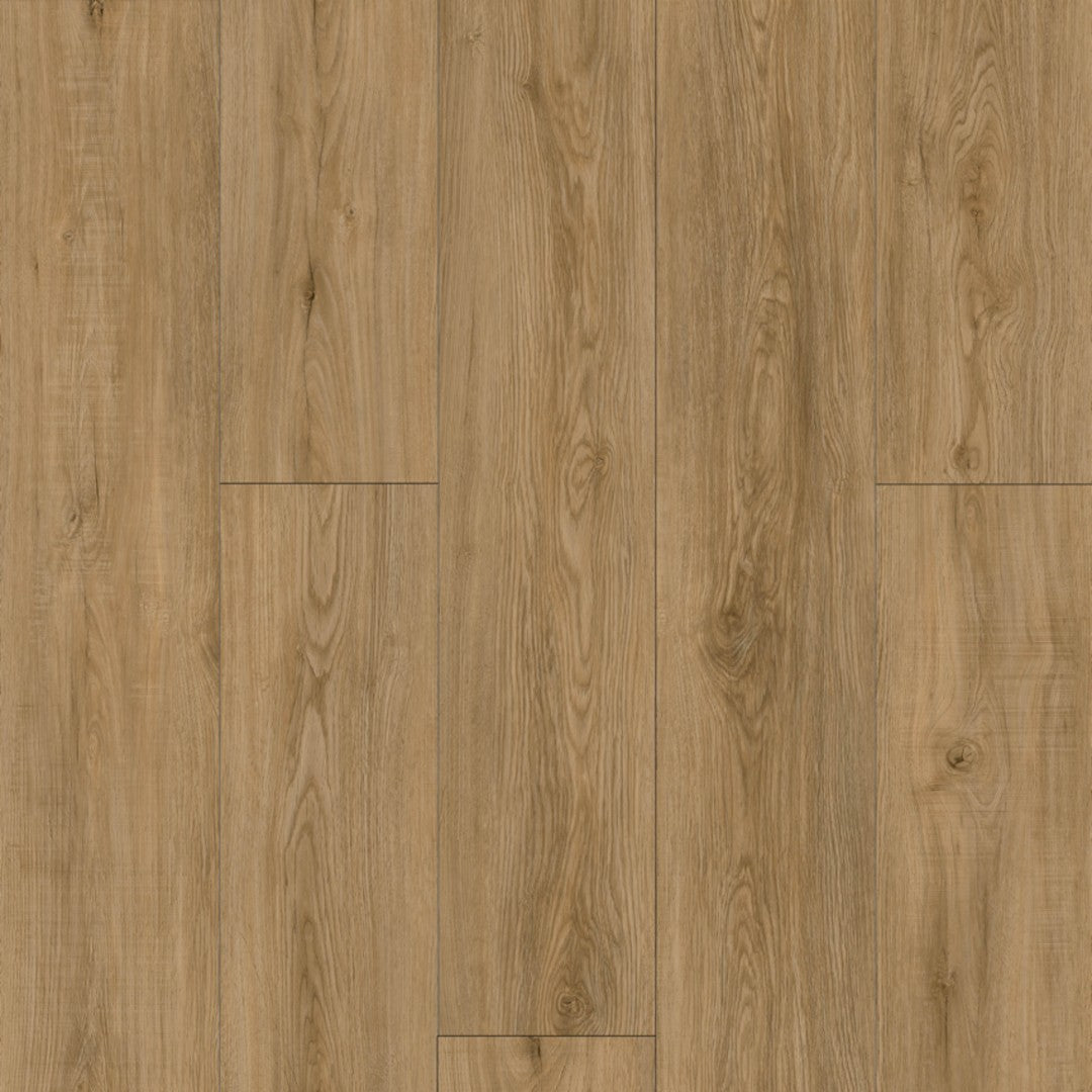 sanabonbonページ Lions Floor Bambino 7