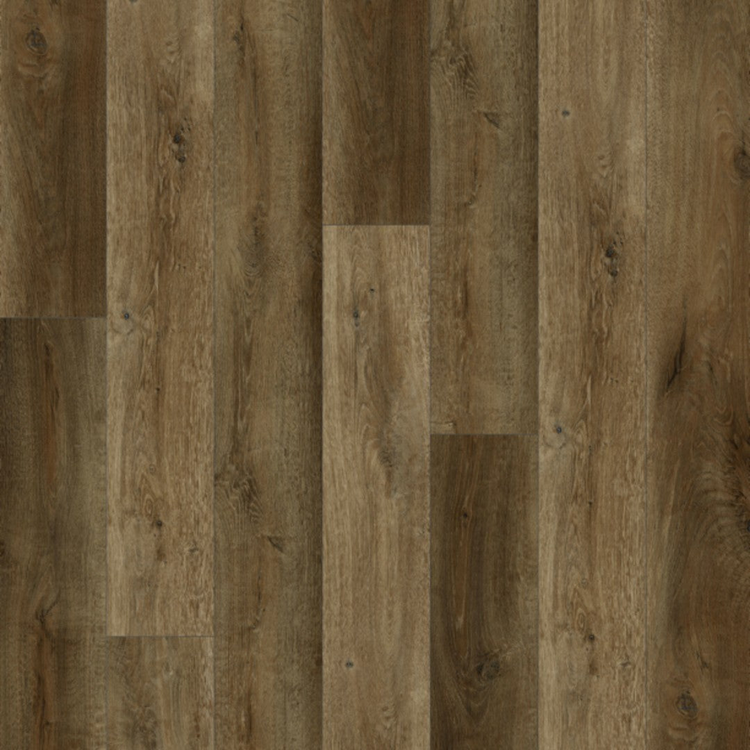 sanabonbonページ Lions Floor Bambino 7