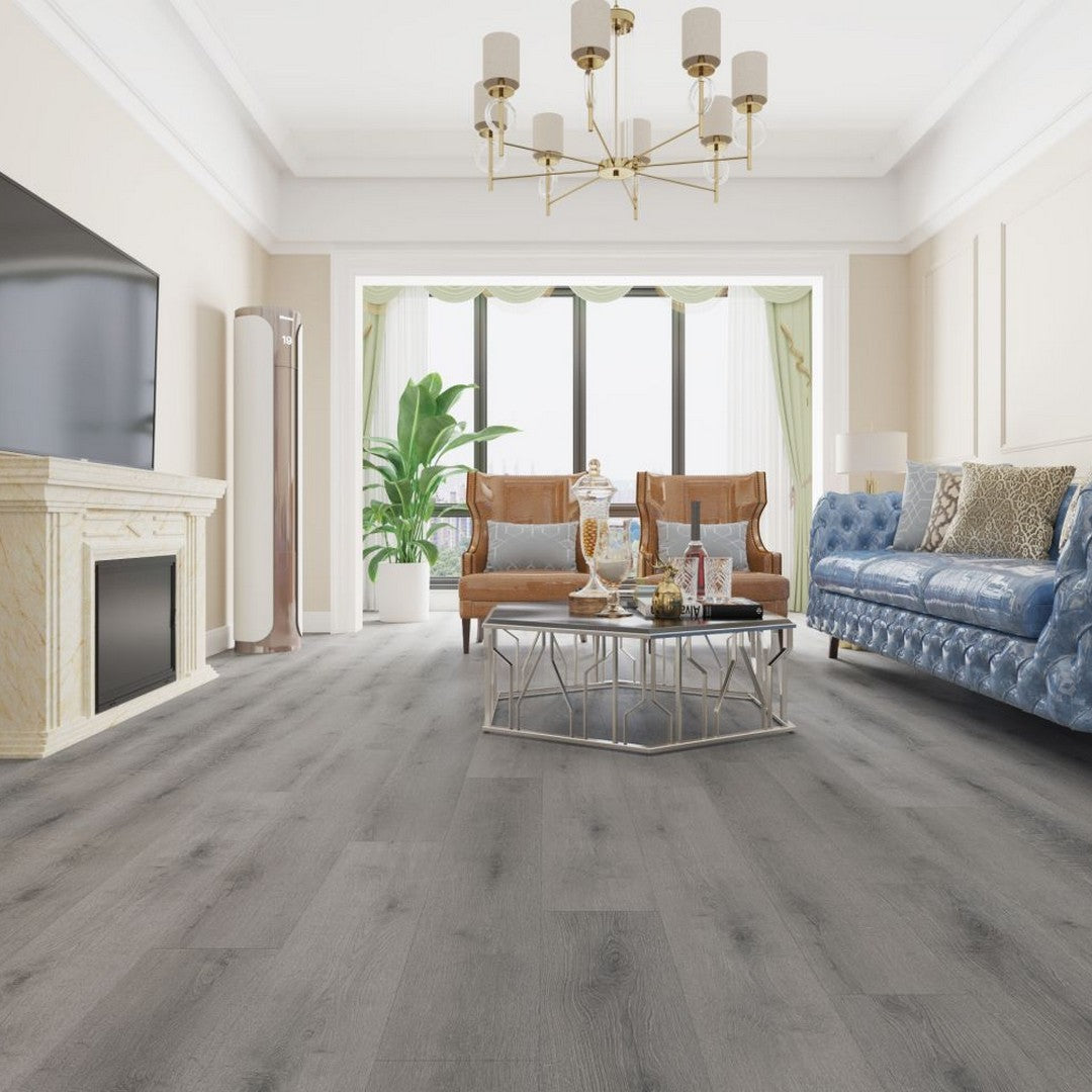 Lions Floor Bambino 7