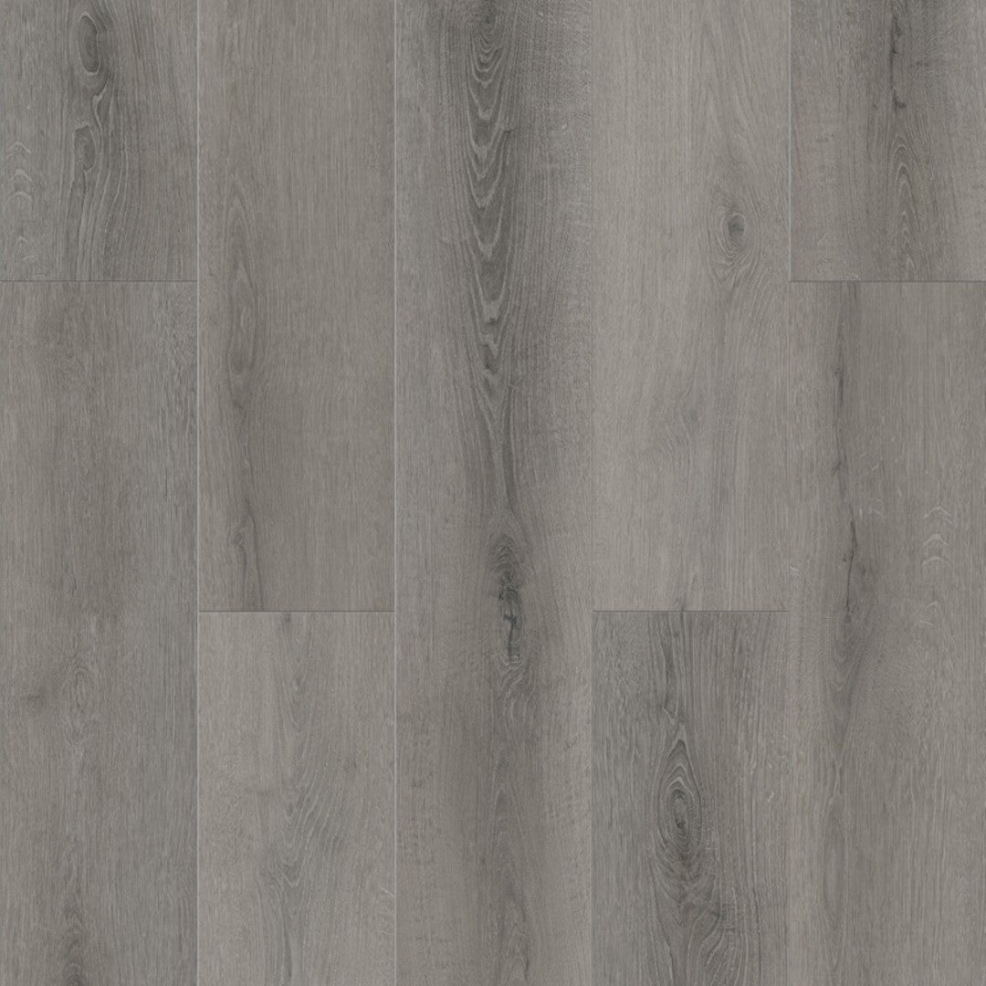 Lions Floor Bambino 7