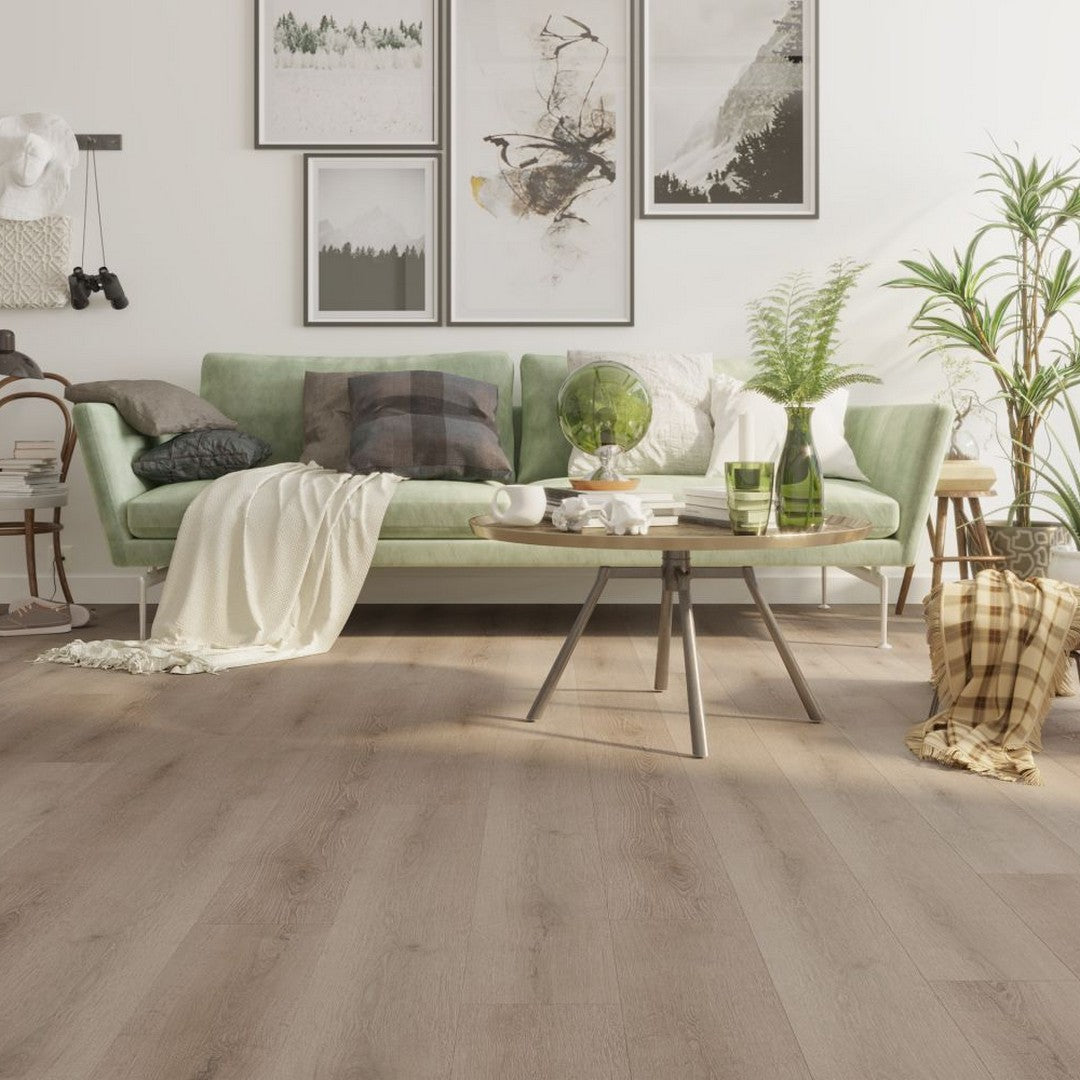 Lions Floor Bambino 7