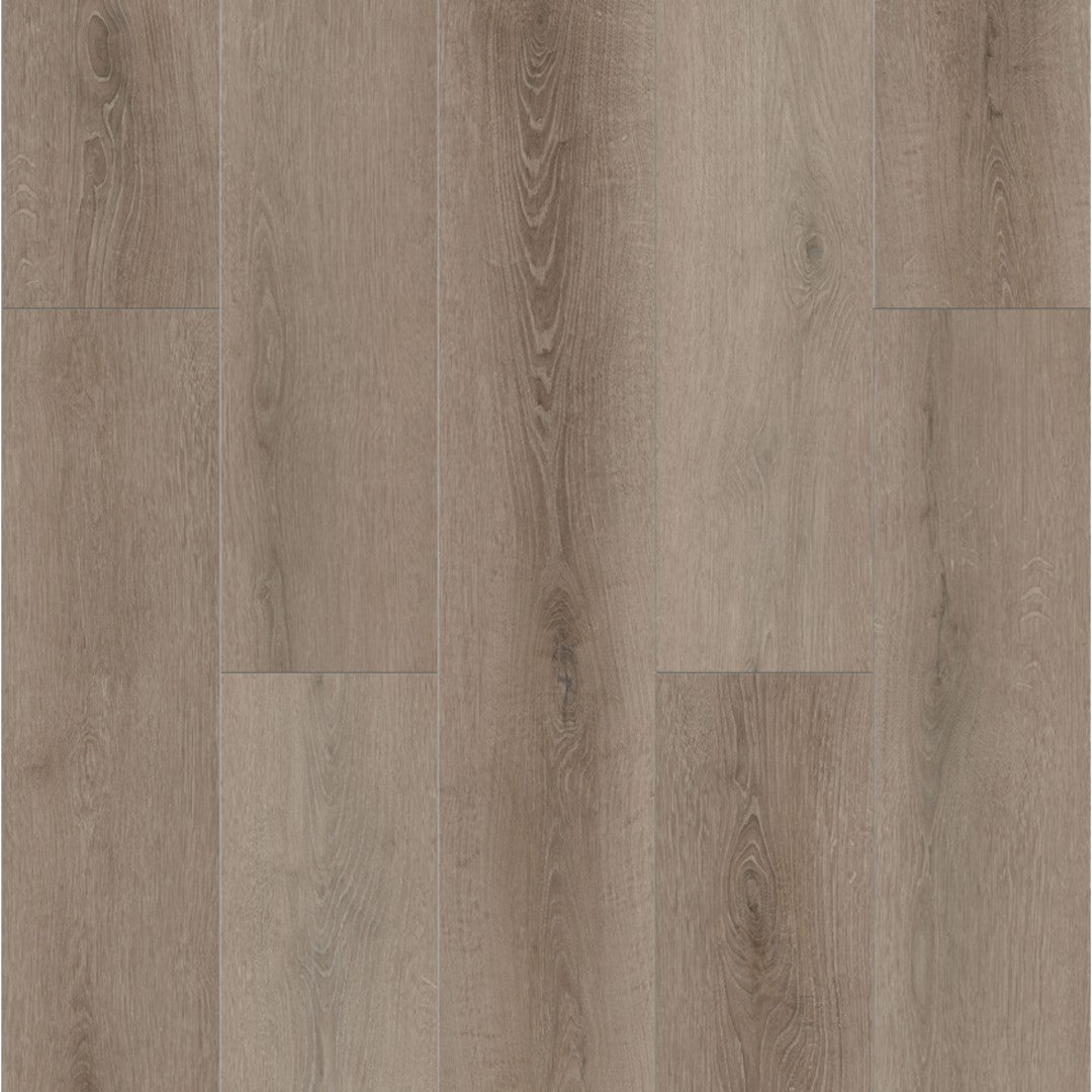 Lions Floor Bambino 7