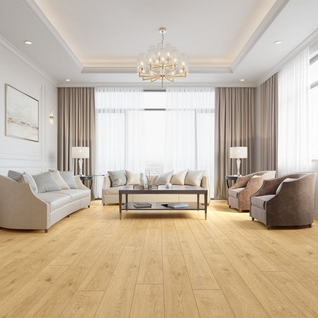 Lions Floor Bambino 7