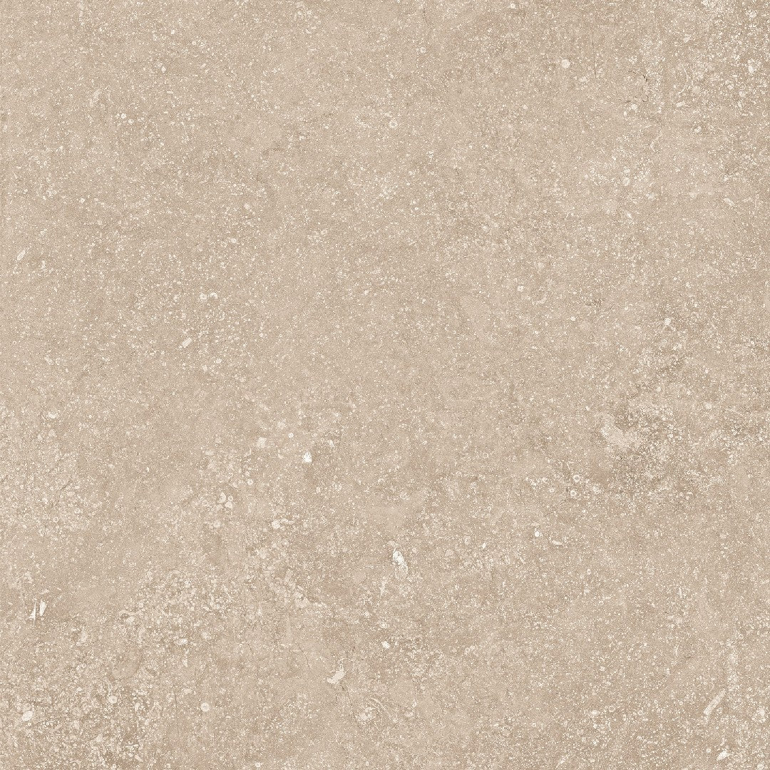 Crossville Beljn 24" x 24" Unpolished Porcelain Tile
