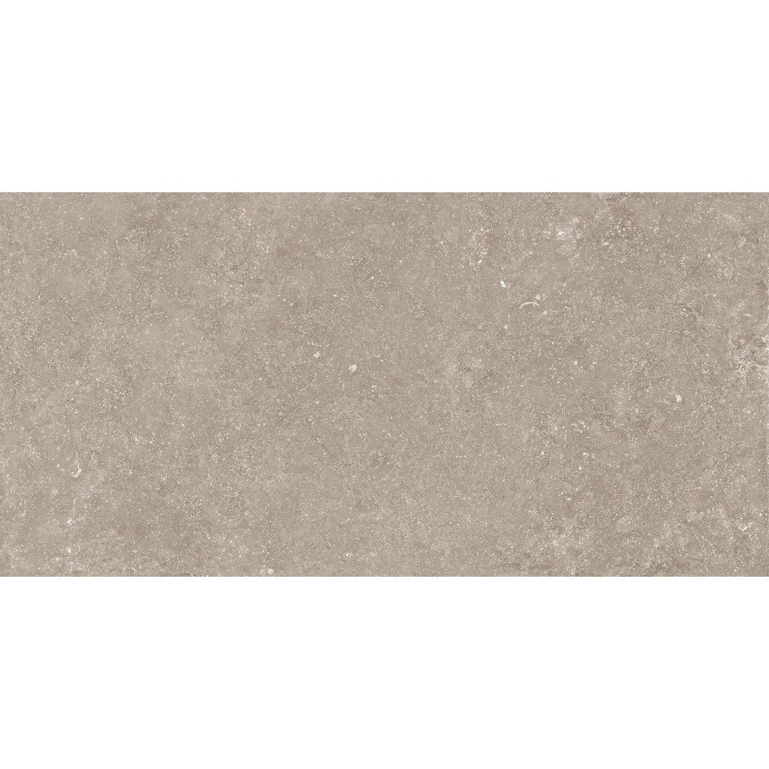 Crossville Beljn 24" x 48" Unpolished Porcelain Tile