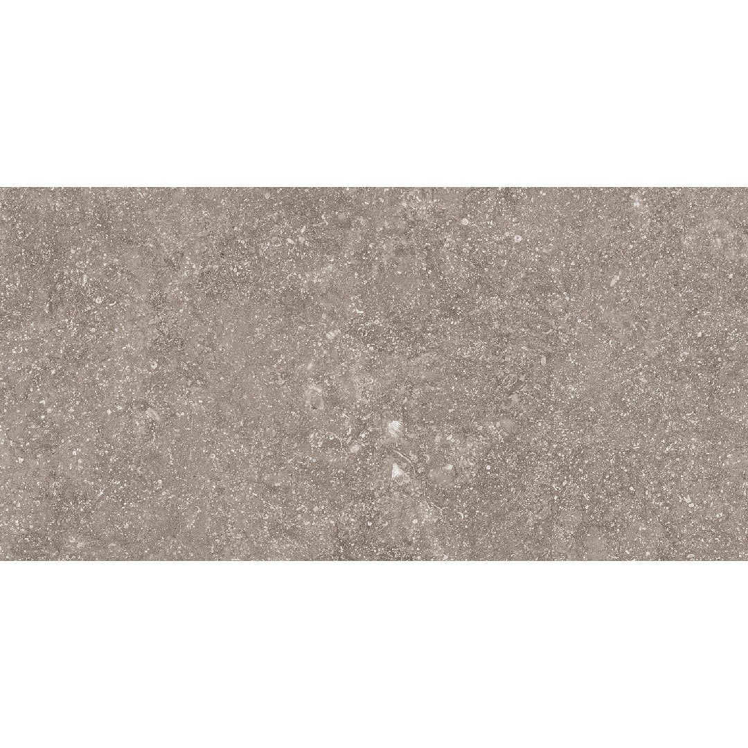 Crossville Beljn 12" x 24" Unpolished Porcelain Tile