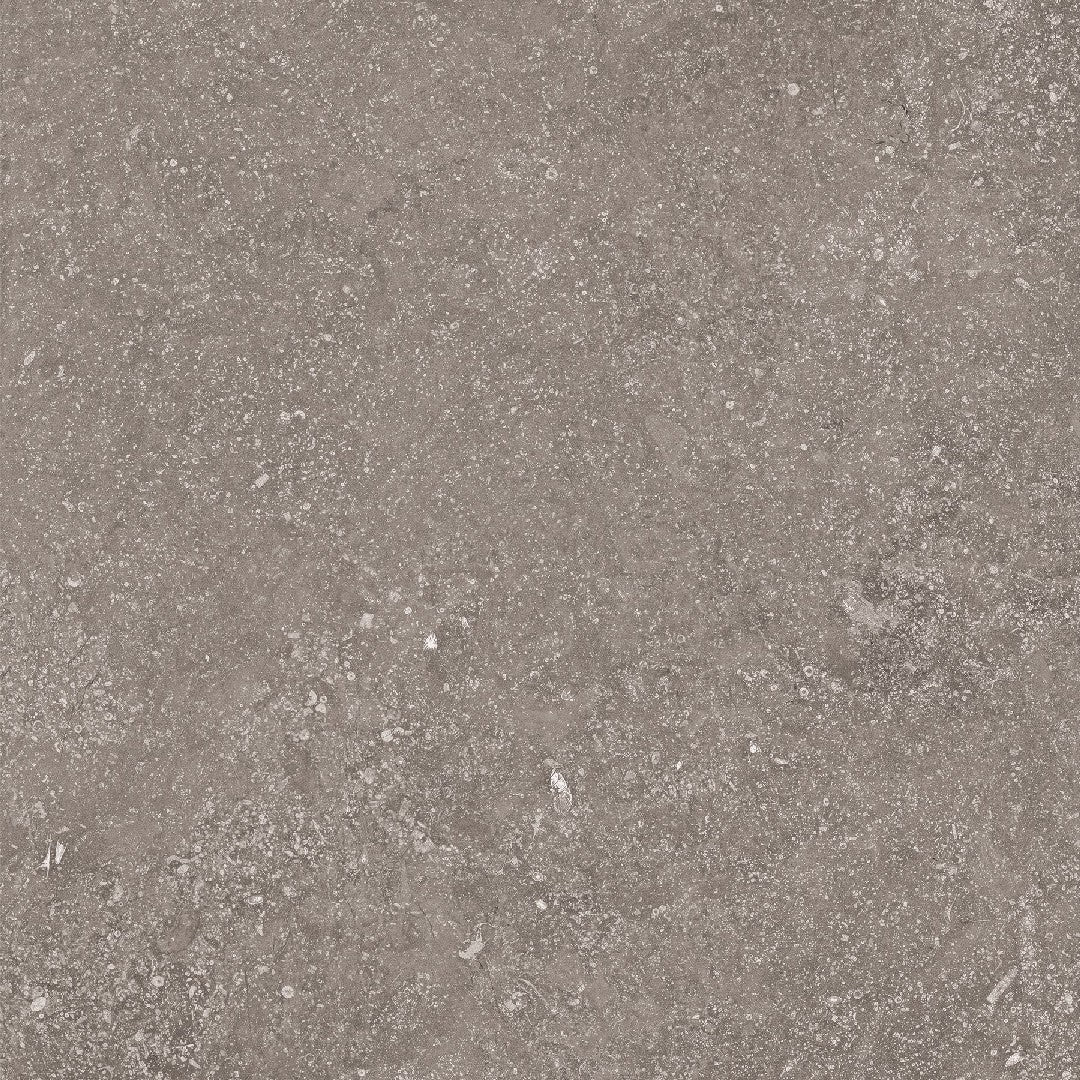 Crossville Beljn 24" x 24" Unpolished Porcelain Tile