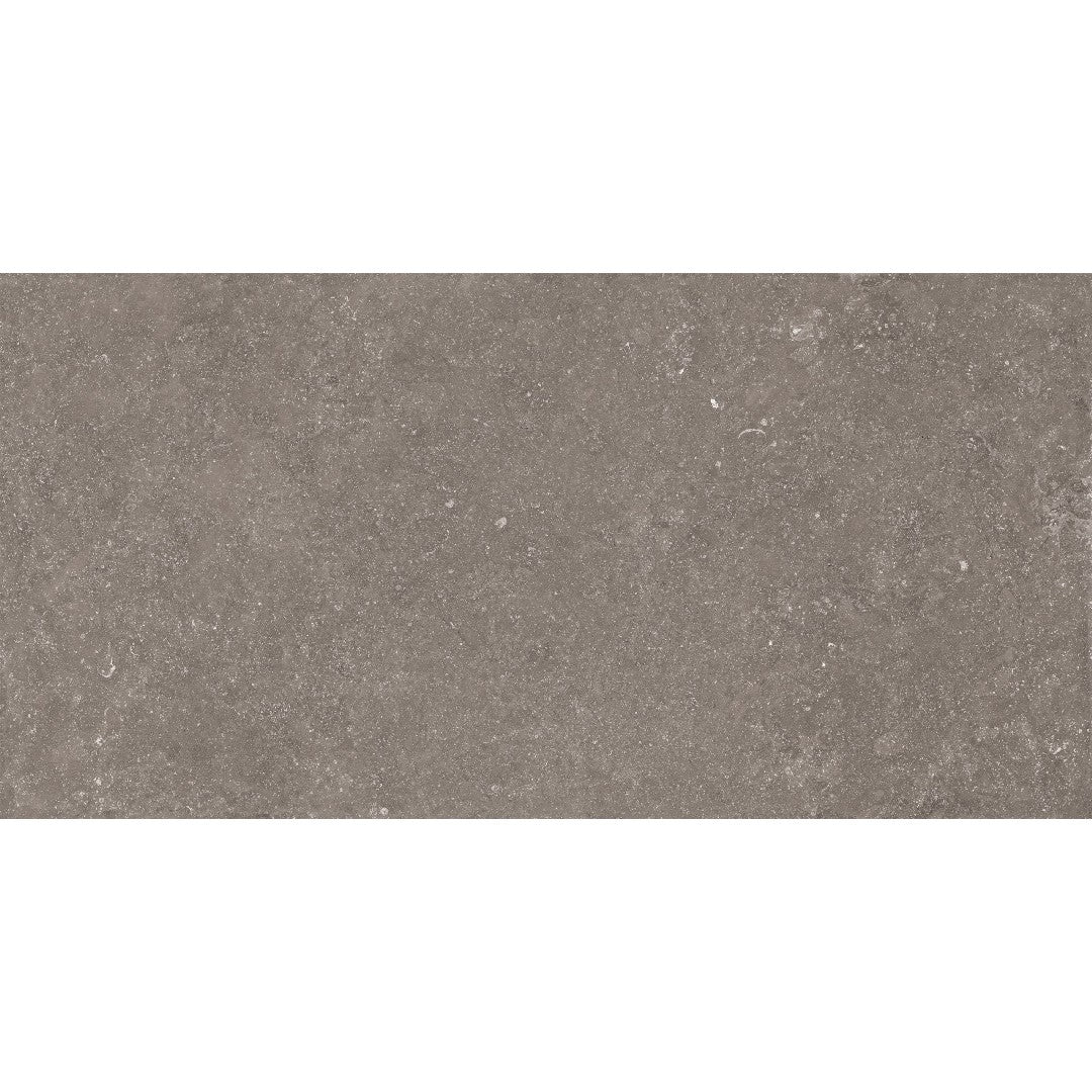 Crossville Beljn 24" x 48" Unpolished Porcelain Tile