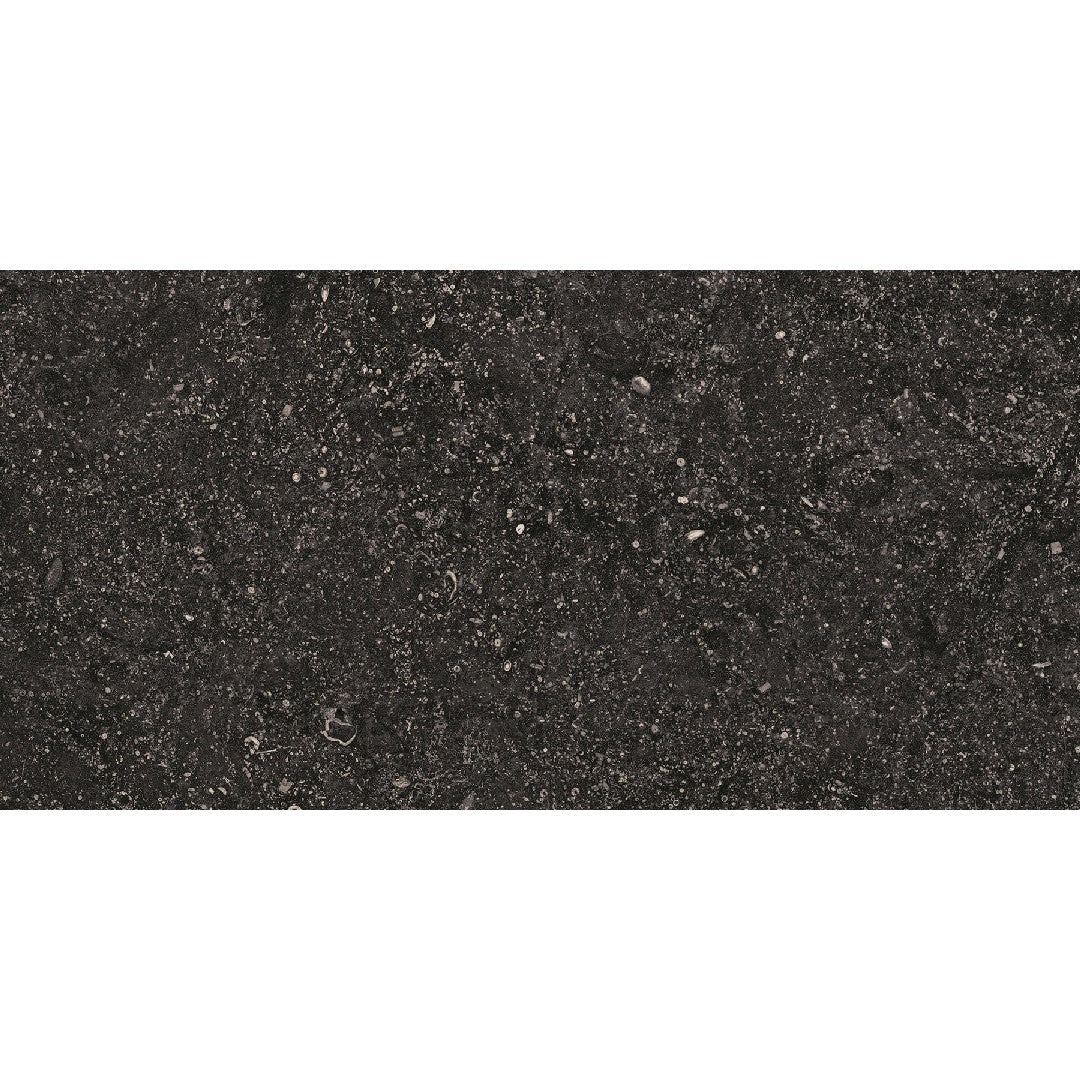 Crossville Beljn 12" x 24" Unpolished Porcelain Tile