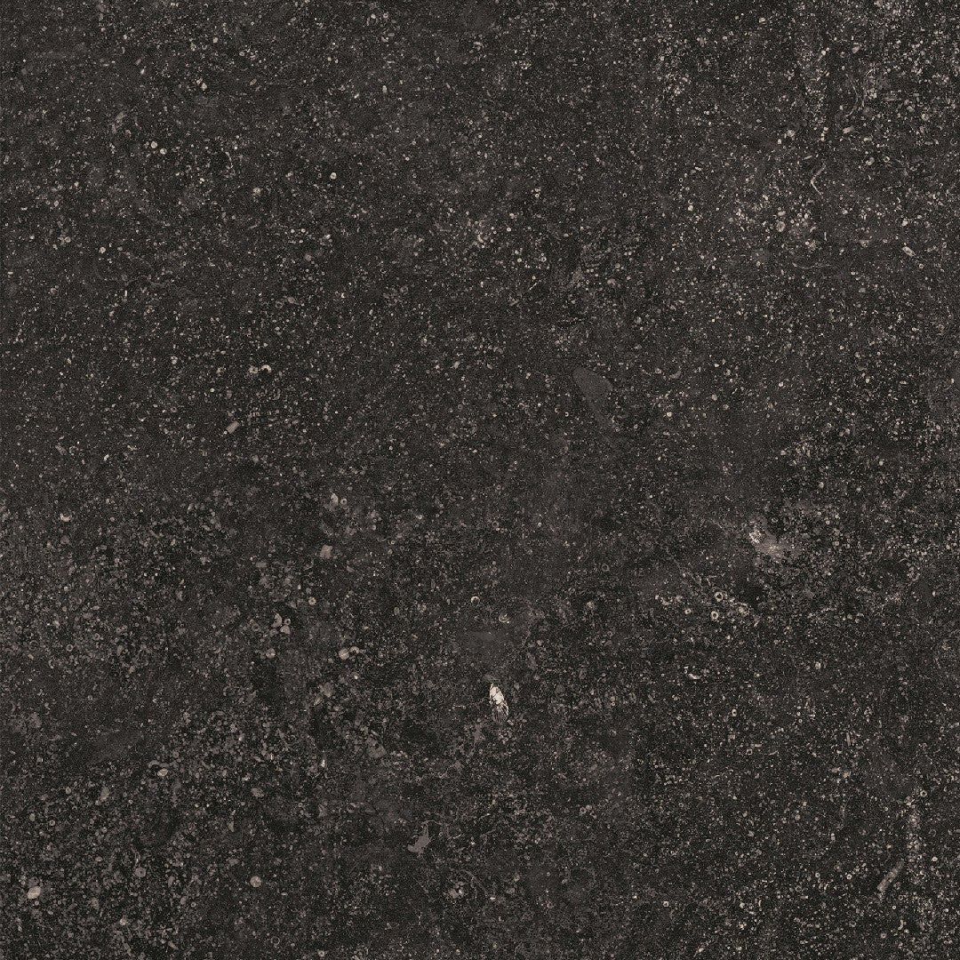 Crossville Beljn 24" x 24" Unpolished Porcelain Tile