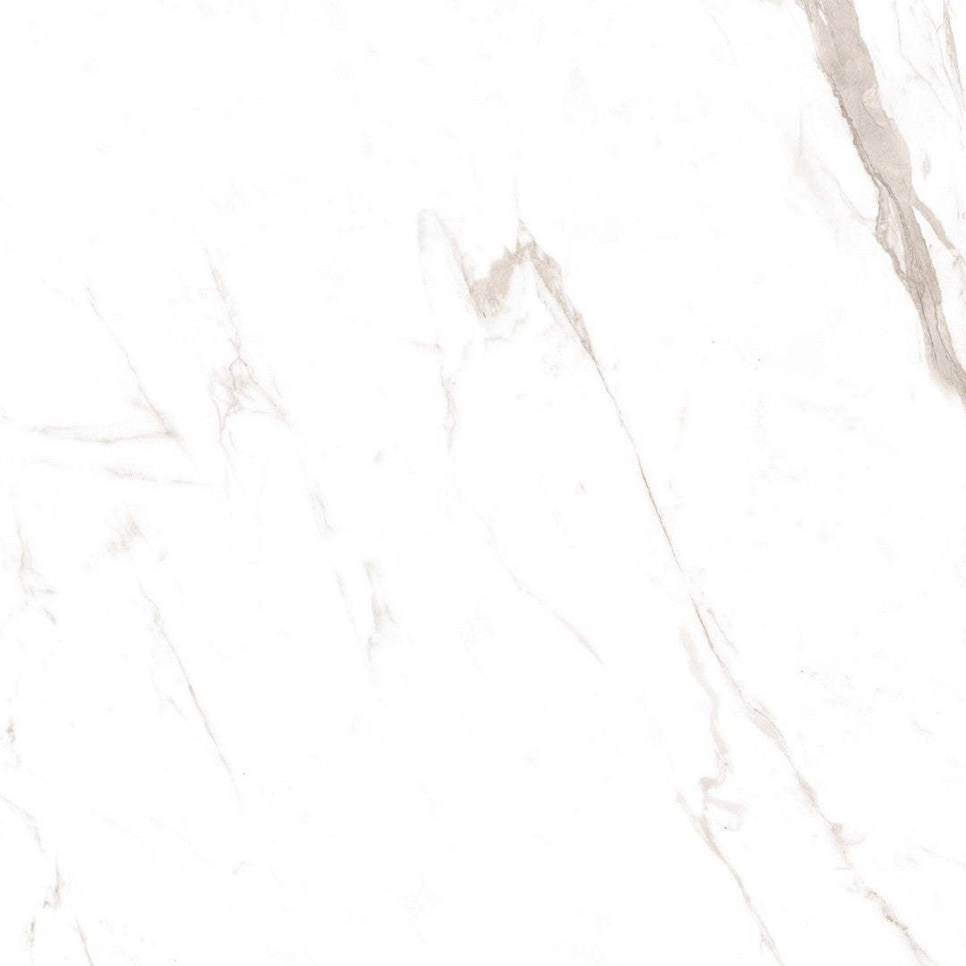 Tesoro Classic Marble 24" x 24" Rectified Polished Porcelain Tile