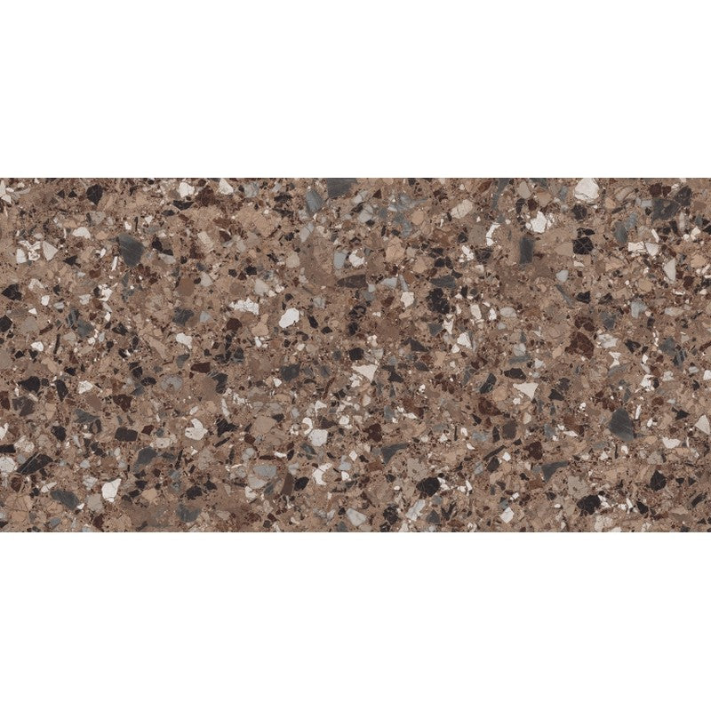 Emser Milzetti 24" x 47" Rectified Polished Porcelain Tile