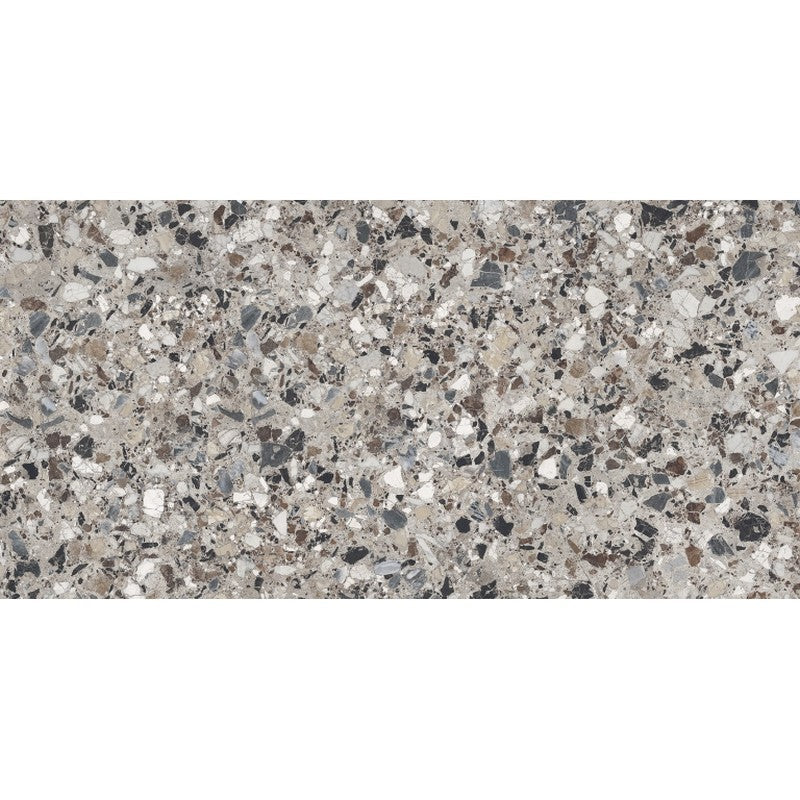 Emser Milzetti 24" x 47" Rectified Polished Porcelain Tile