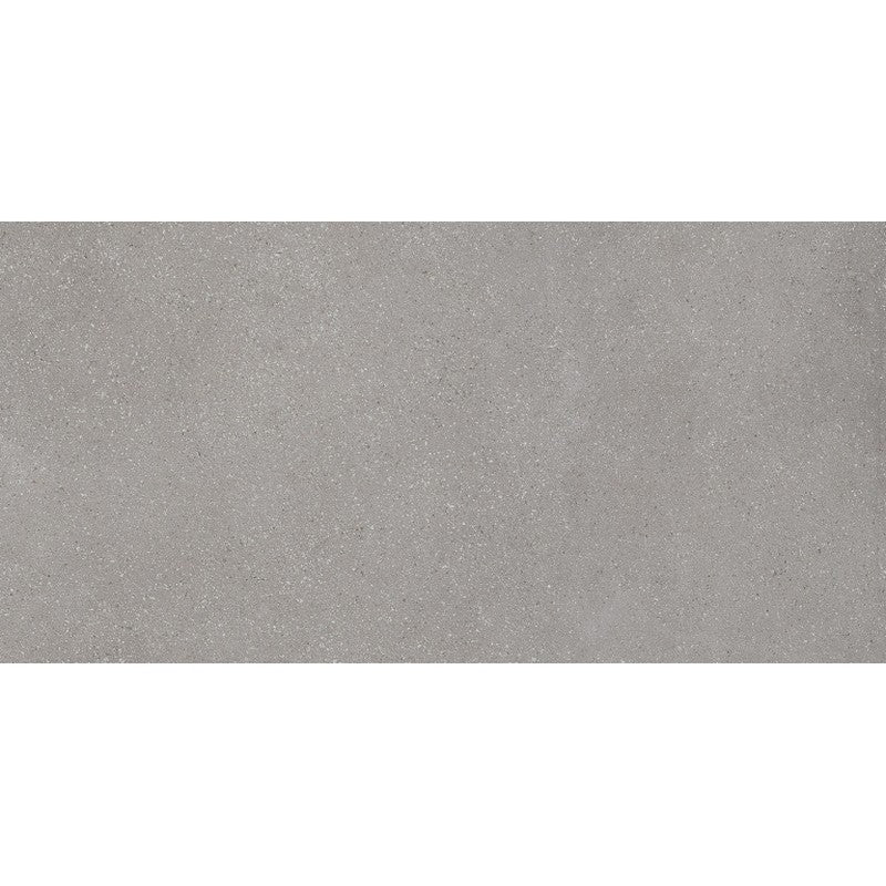 Emser Milzetti 24" x 47" Rectified Matte Porcelain Tile