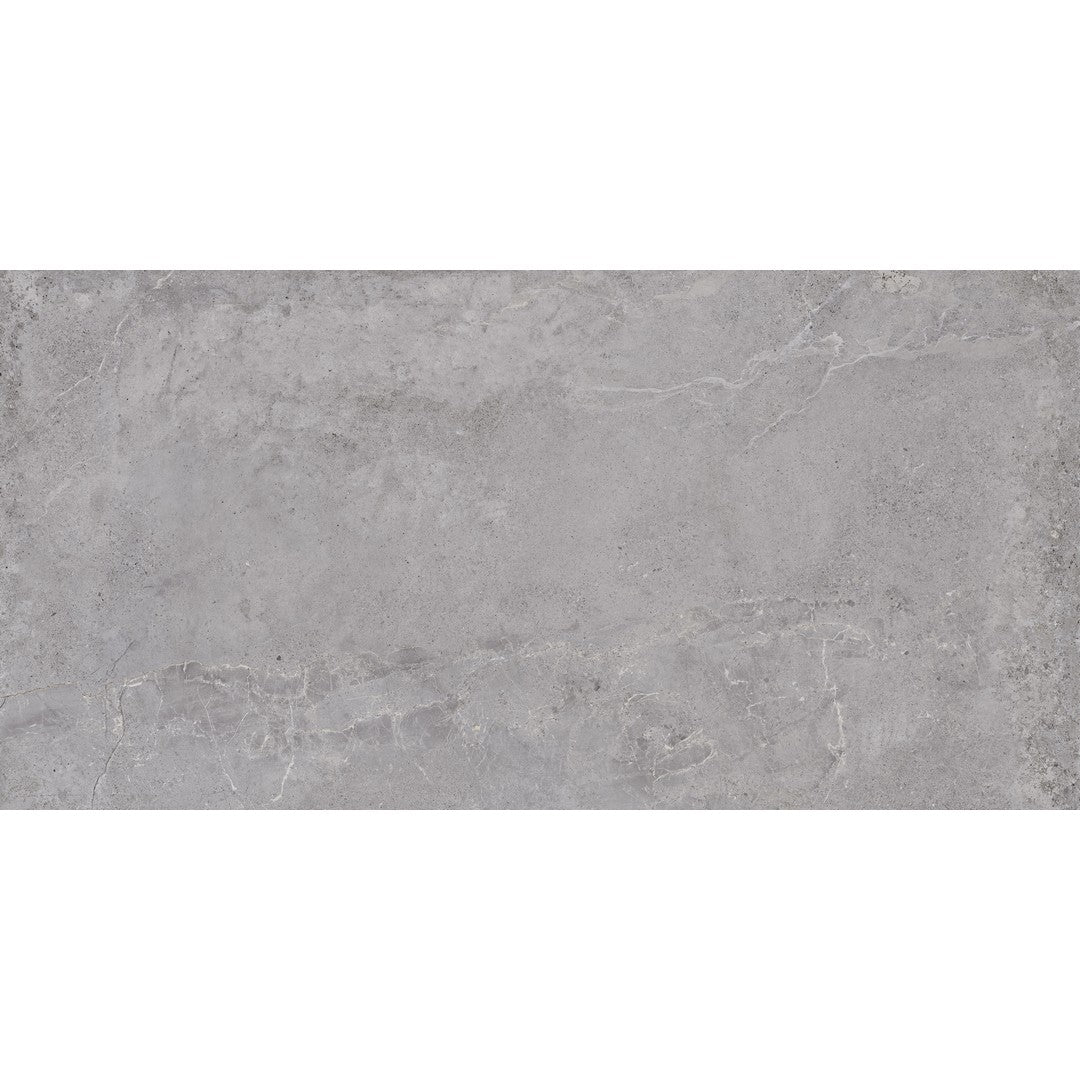 Tesoro Evolution 24" x 48" Rectified Matte Porcelain Tile
